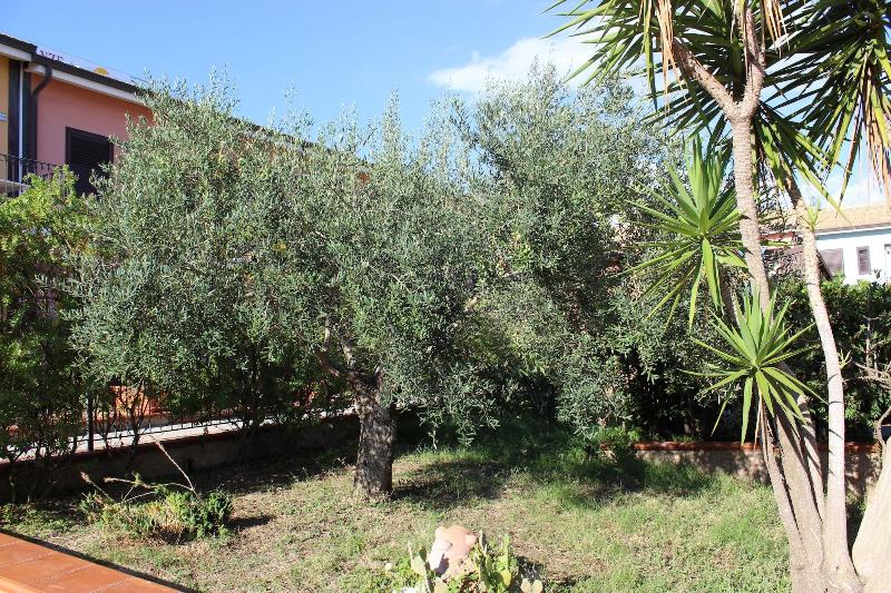 Case Vacanze Ancora - Genel