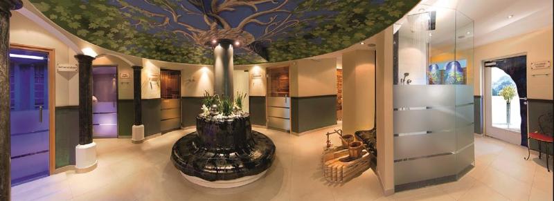 Alpina Family, Spa & Sporthotel - Lobi