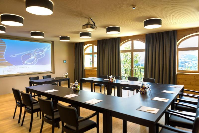 Alpina Family, Spa & Sporthotel - Toplantı