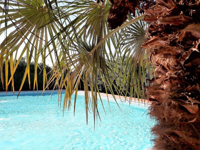 Villa Curina Resort - Aktivite