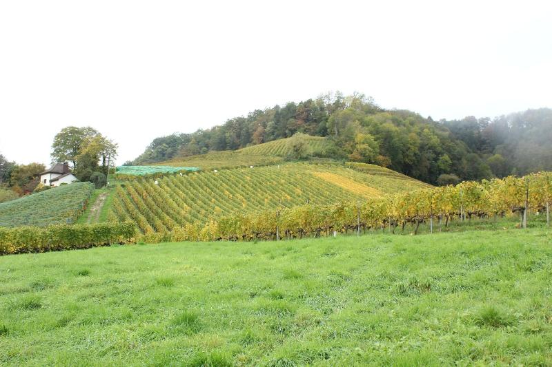 Murtenhof & Krone - Teras