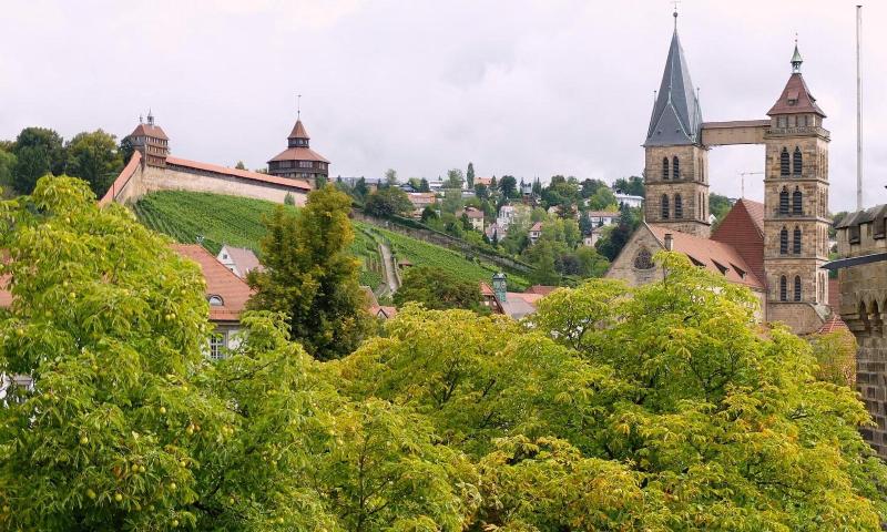 Hotel am Schelztor - Genel