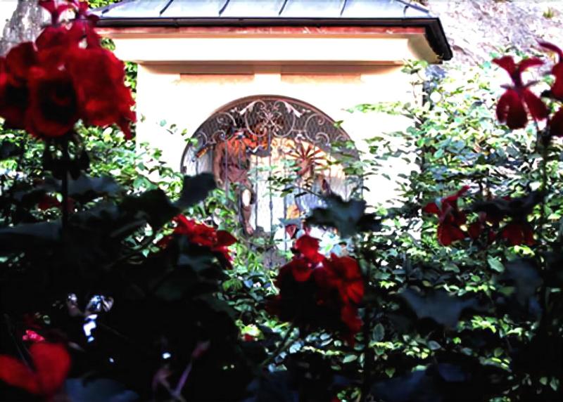 Altstadt Hotel Stadtkrug - Genel
