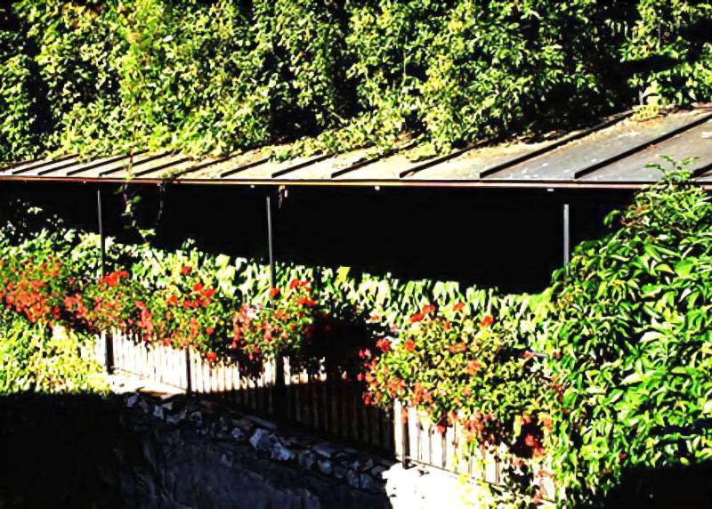 Altstadt Hotel Stadtkrug - Genel