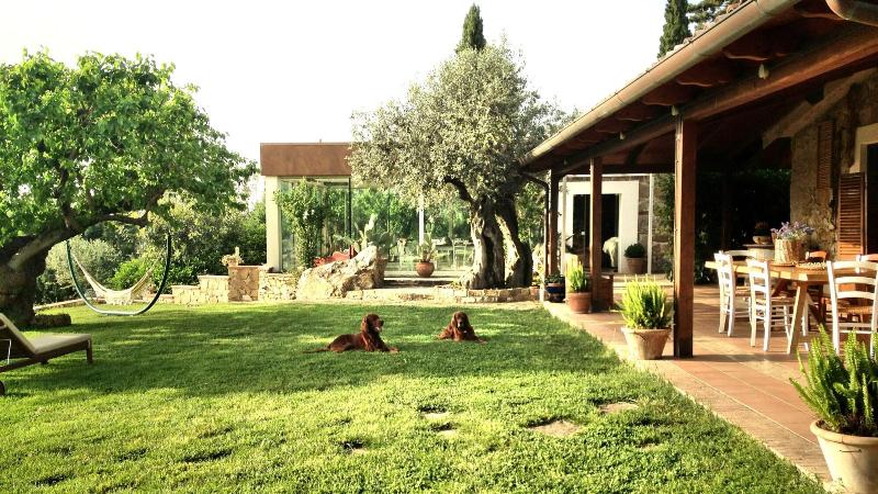 Casale Giancesare - Genel