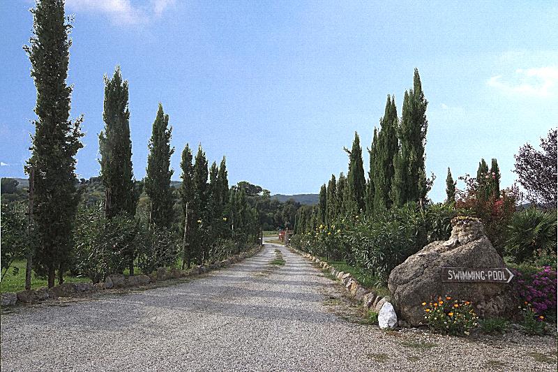 Antico Borgo Il Cardino - Lobi