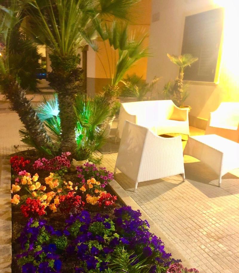Araba Fenice Hotel - Genel