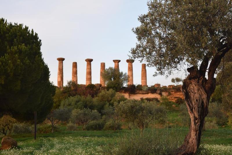 B&B Kolymbetra - Genel