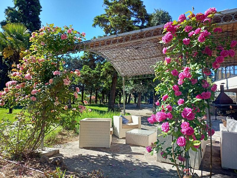 Villa Ambra - Genel