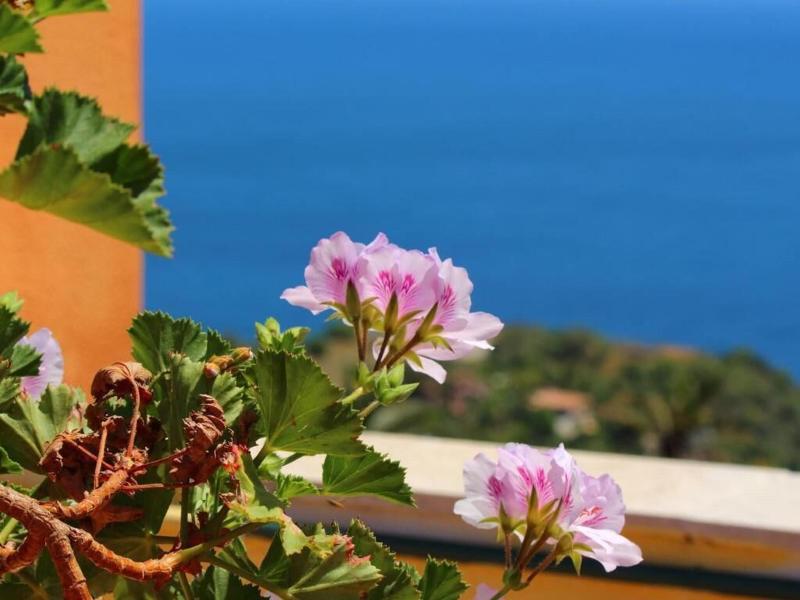 Inn Piero - Genel