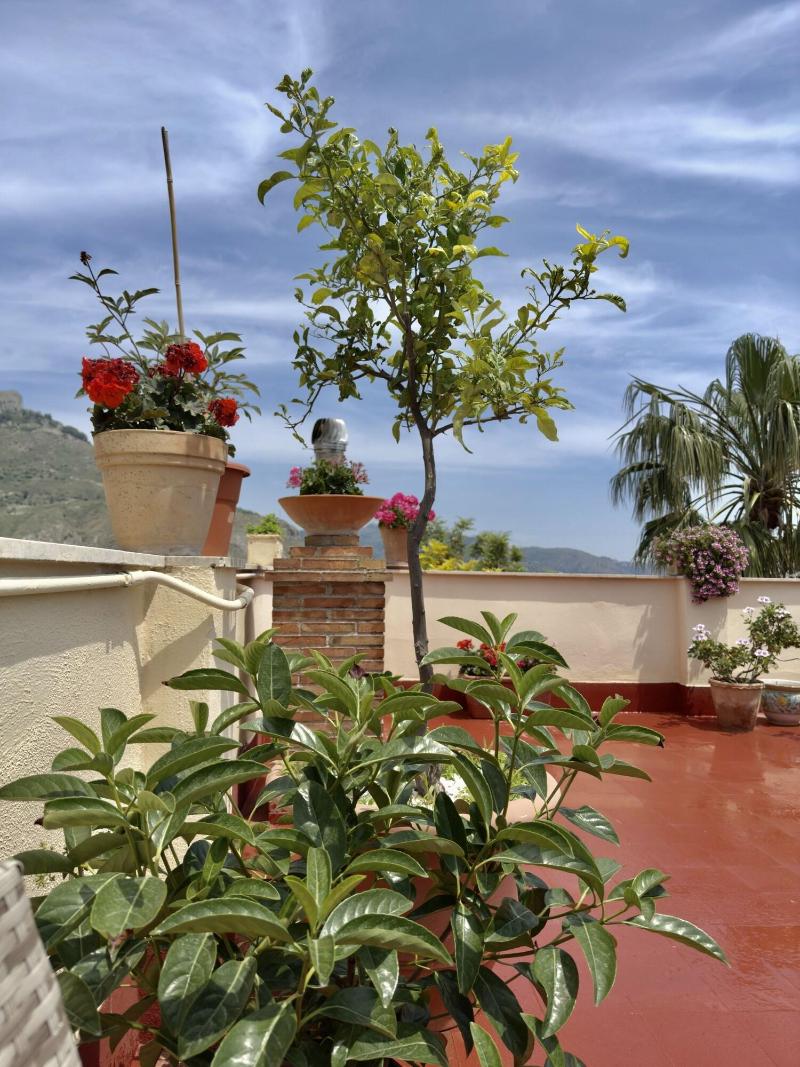 Inn Piero - Teras