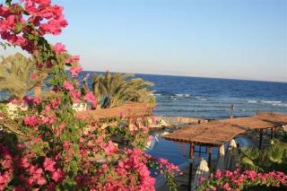 Nesima Resort fotoÄŸrafÄ±