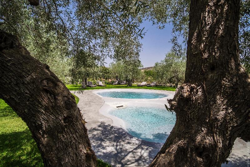 Masseria degli Ulivi - Aktivite