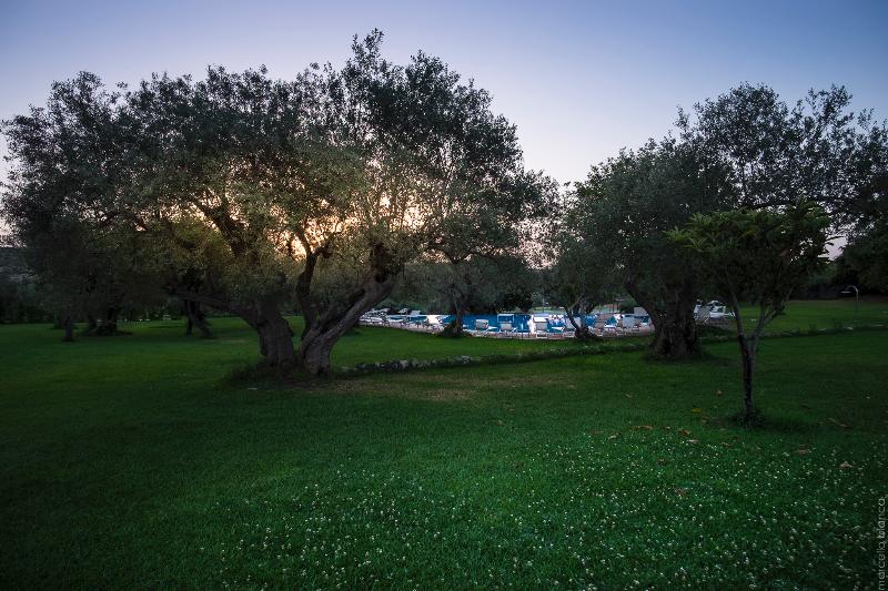 Masseria degli Ulivi - Genel