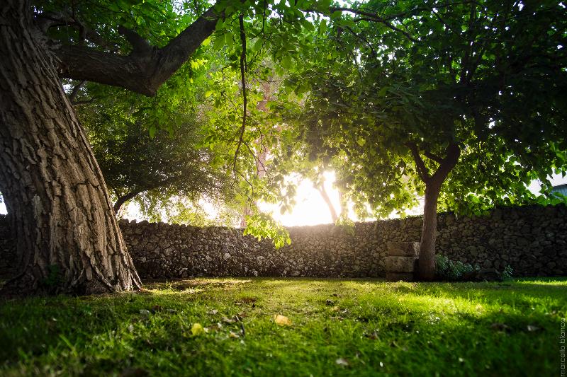 Masseria degli Ulivi - Genel