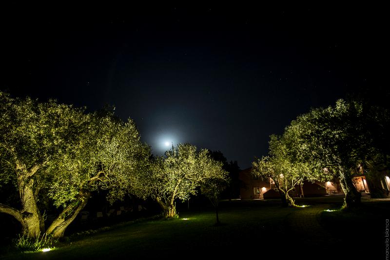 Masseria degli Ulivi - Genel