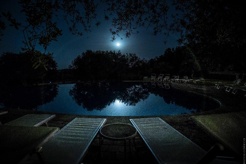 Masseria degli Ulivi - Havuz