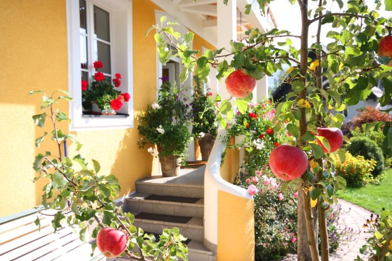 Hotel Pension Villa Klothilde - Genel