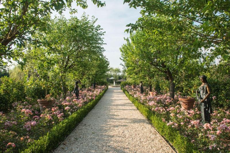 Borgo Santo Pietro - Teras