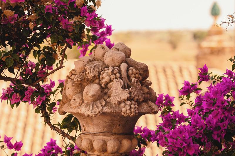 Villa Giulia Agriturismo - Genel