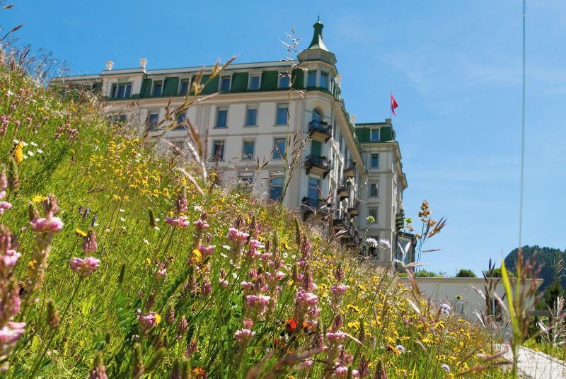Grand Kronenhof - Genel