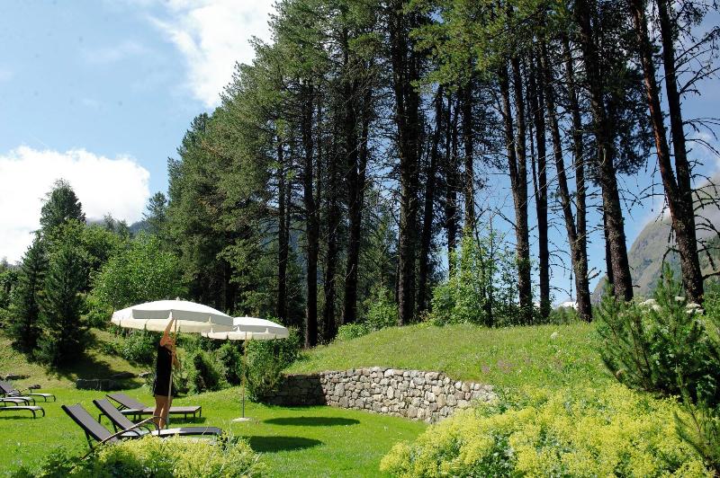 Grand Kronenhof - Teras