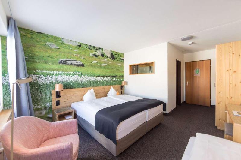 Hotel Chesa Mulin - Oda