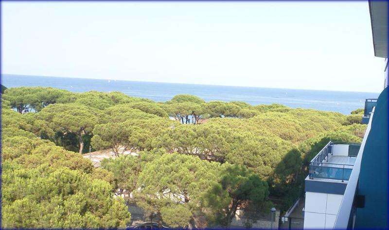 Blaucel - Teras
