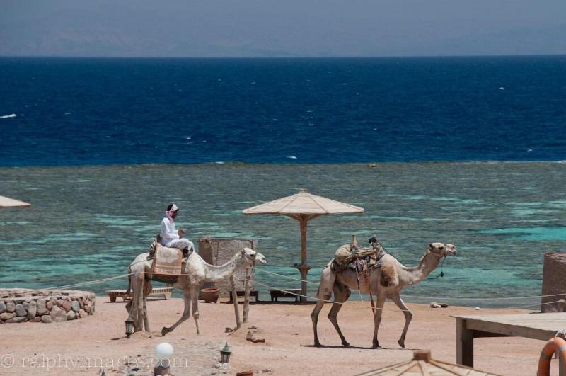Daniela Village Dahab - Genel