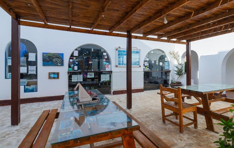 Daniela Village Dahab - Havuz