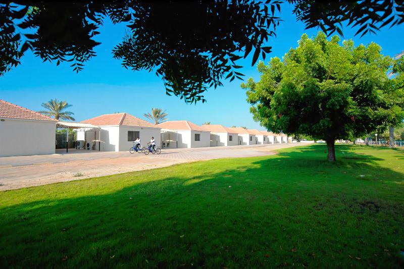 Barracuda Beach Resort - Genel