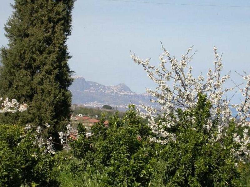 Baglio delle Rose - Genel