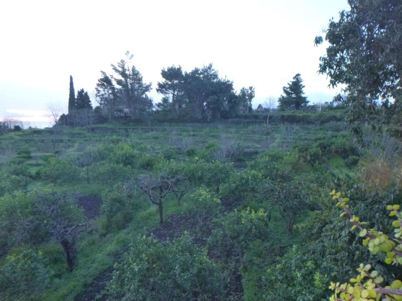 Baglio delle Rose - Genel