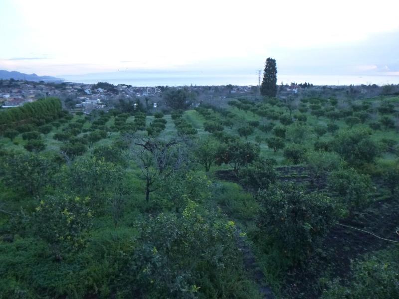 Baglio delle Rose - Genel