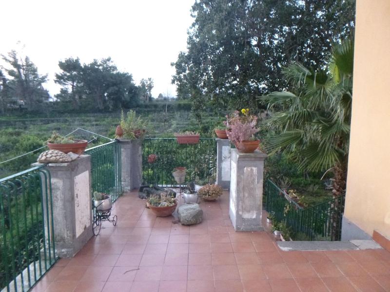 Baglio delle Rose - Teras