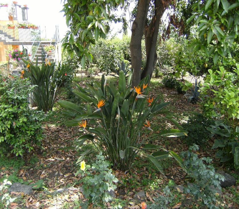 Baglio delle Rose - Teras