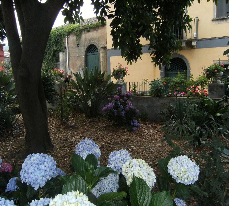 Baglio delle Rose - Teras