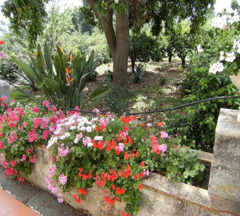 Baglio delle Rose - Teras