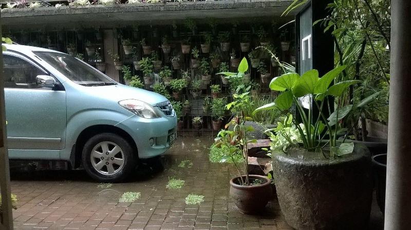 Rumah Turi - Genel