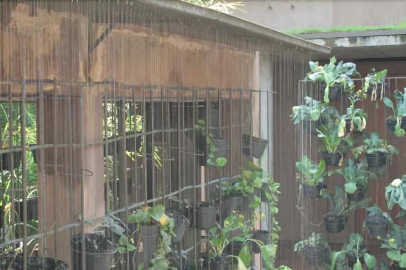 Rumah Turi - Genel
