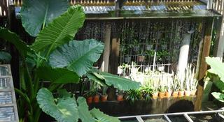 Rumah Turi fotoÄŸrafÄ±
