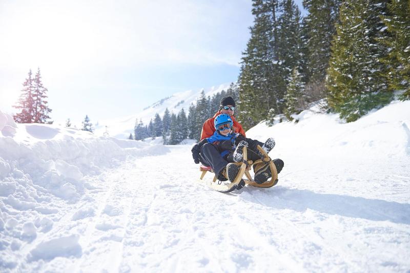 Eurotel Victoria Les Diablerets - Aktivite