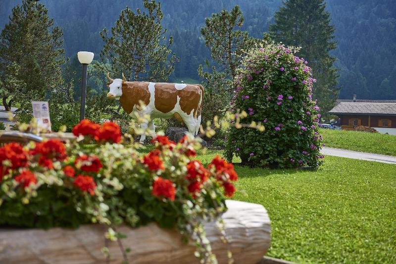 Eurotel Victoria Les Diablerets - Oda