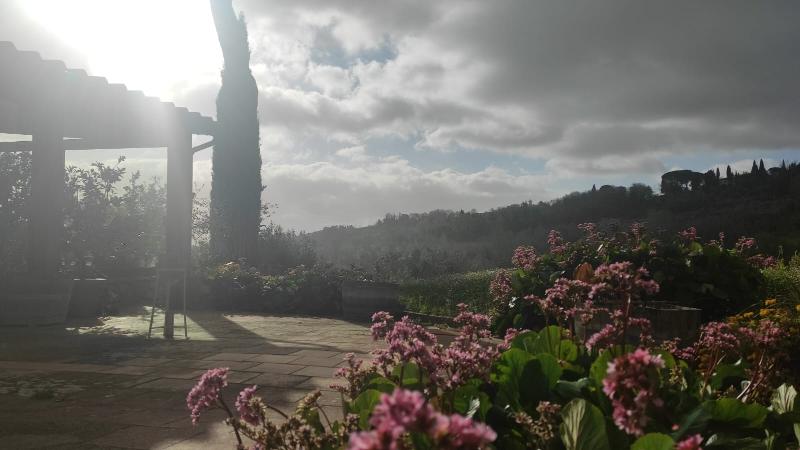Le Colline - Genel