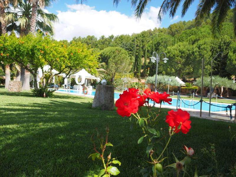 Azienda Turistica Rurale Il Drago - Aktivite