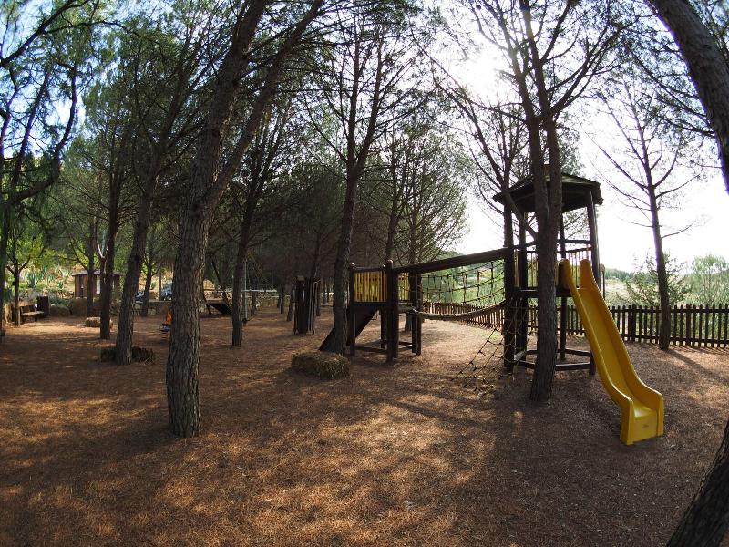 Azienda Turistica Rurale Il Drago - Aktivite