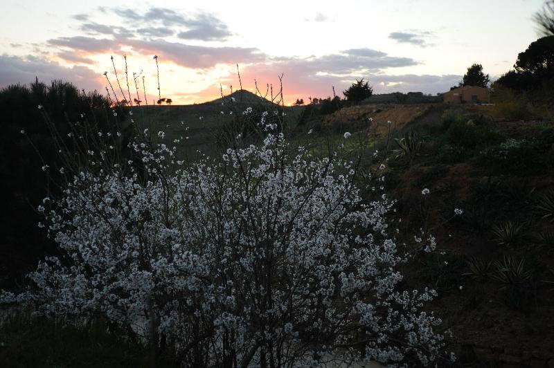 Azienda Turistica Rurale Il Drago - Genel