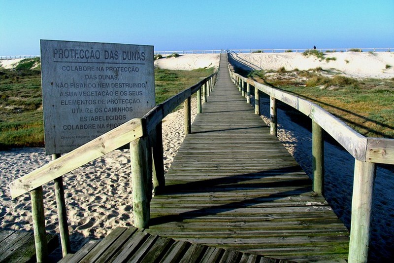 Moliceiro - Plaj