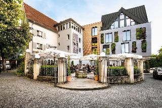 Schwanen fotoÄŸrafÄ±