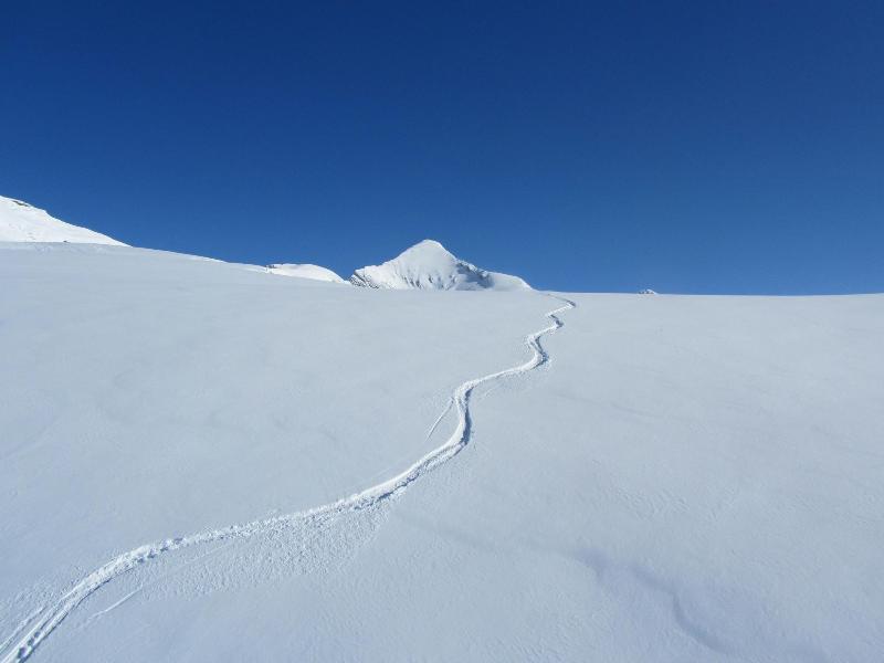 Alpenhof - Aktivite